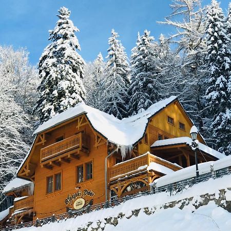 Pensjonat Alpejski Dwor مينزغوجة المظهر الخارجي الصورة