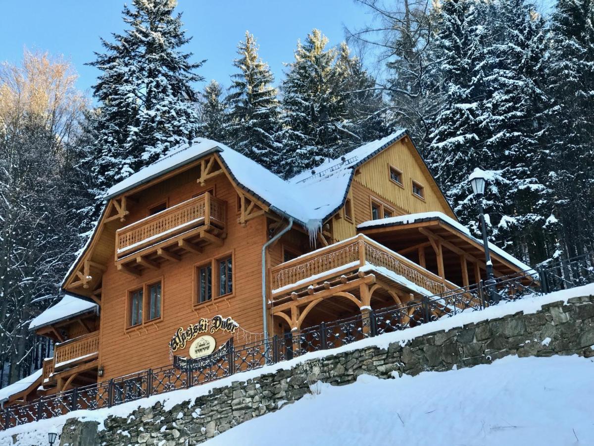 Pensjonat Alpejski Dwor مينزغوجة المظهر الخارجي الصورة