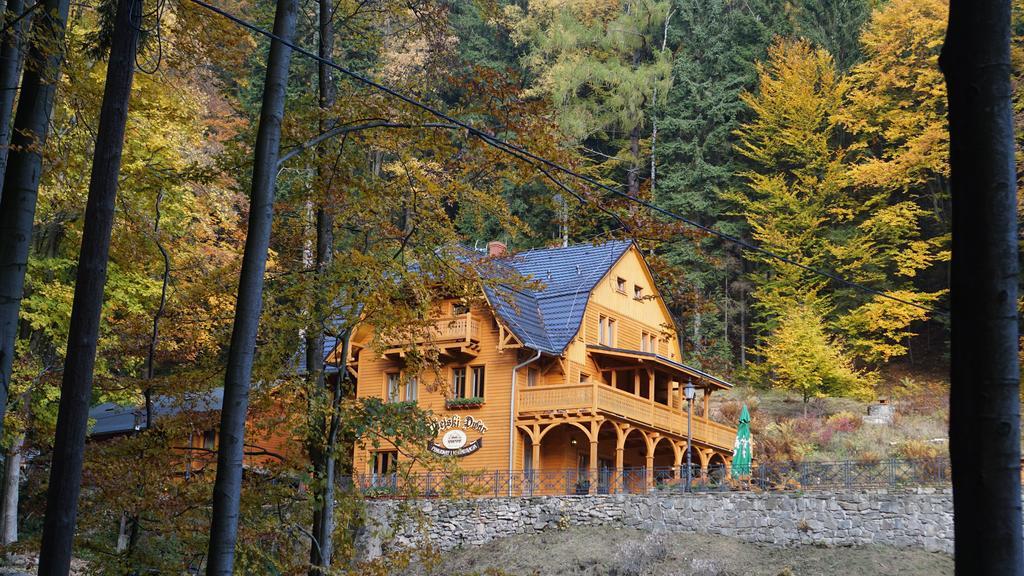 Pensjonat Alpejski Dwor مينزغوجة المظهر الخارجي الصورة